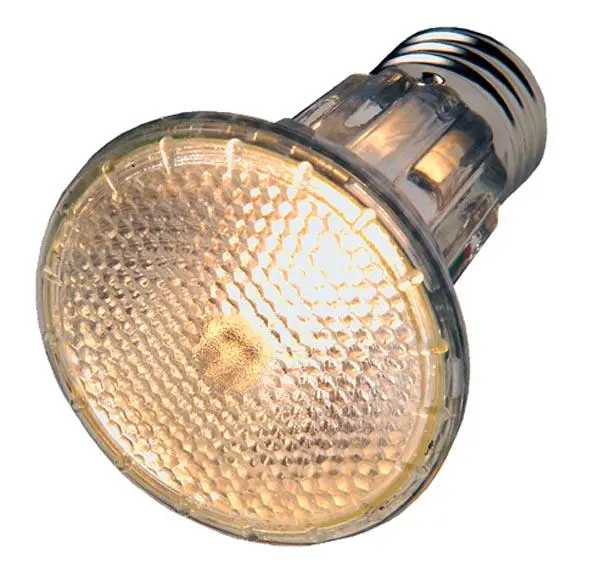 Hobby Diamond Halogen Floodlight 100 watt